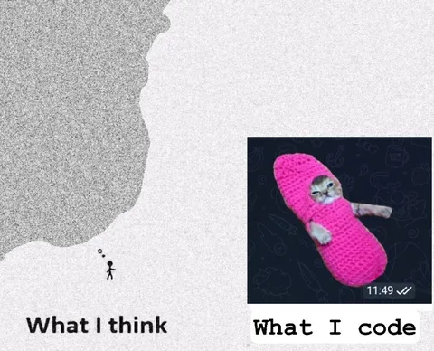 What I Think vs What I Code