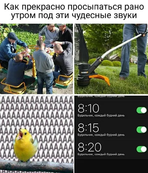 Прекрасное пробуждение под звуки