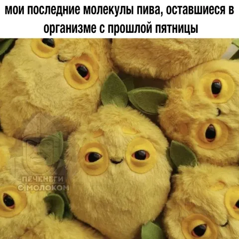 Последние молекулы пива