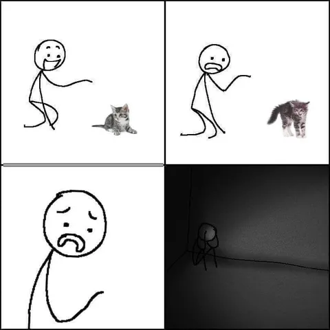 Котёнок стал злым