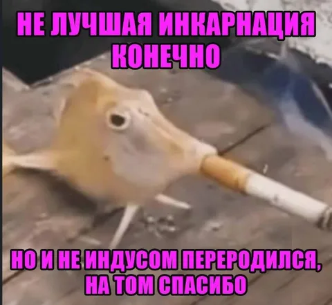 Не лучшая инкарнация, конечно