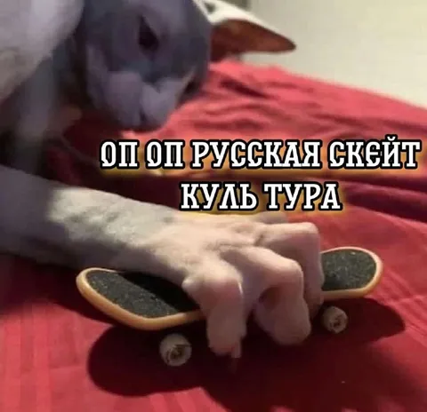 Оп оп русская скейт культура