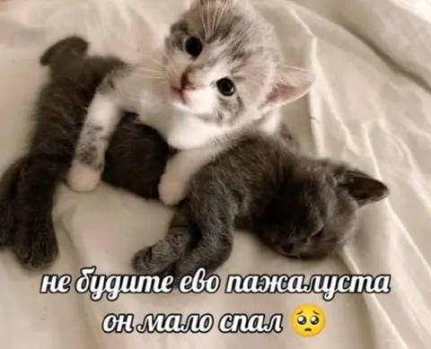 Не будите его пожалуйста