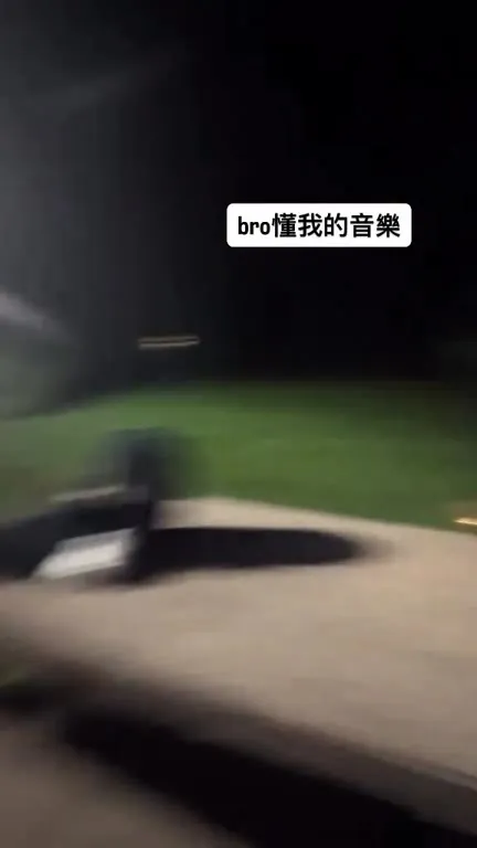 懂我的音樂的鵝
