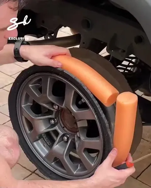 Колесо из пищащих куриц