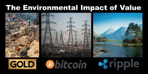 The Environmental Impact of Value
