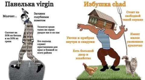 Панелька virgin и избушка chad