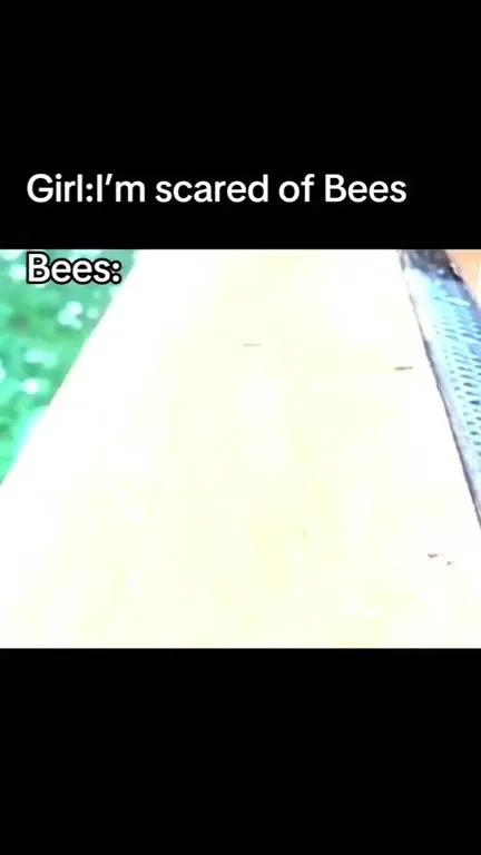 Girl Scared of Bees