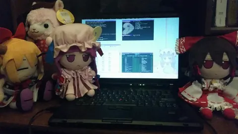 Куклы Touhou за ноутбуком
