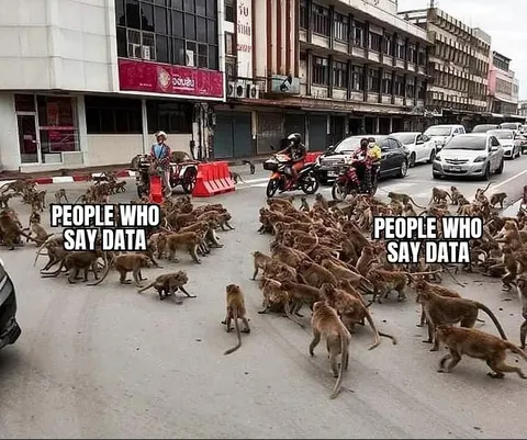 People Who Say Data