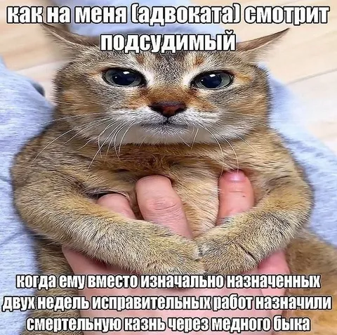 Подсудимый смотрит на адвоката