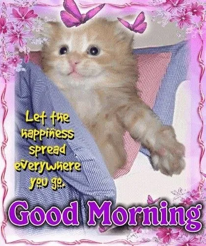 Good Morning Happiness Cat
