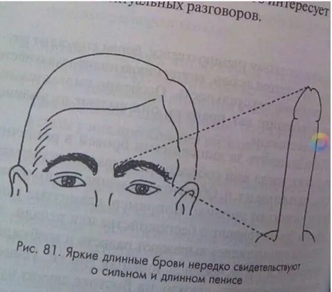 Длинные брови и пенис