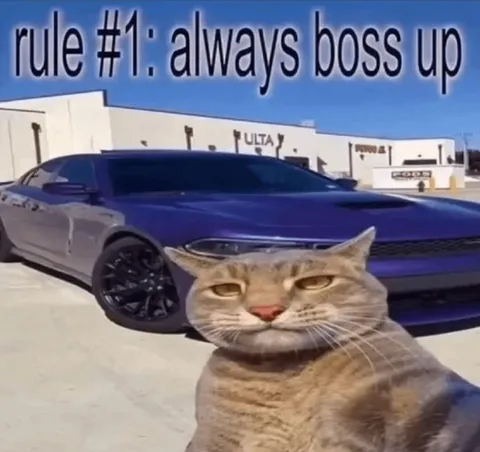 Always Boss Up