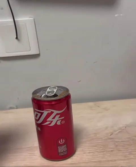 可乐被子里睡着了