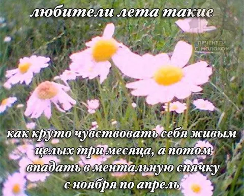 Ментальная спячка с ноября по апрель
