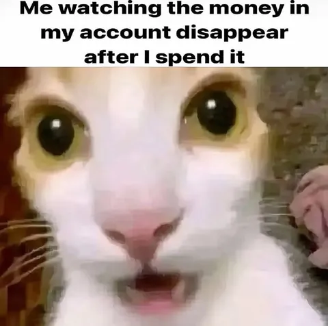 Watching My Money Disappear