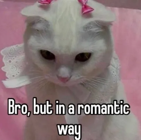 Bro, but in a romantic way