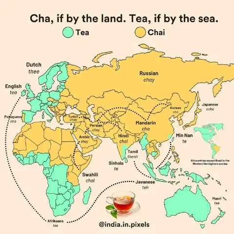 Tea Around the World Map