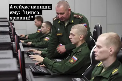 Ципсо, хрюкини!