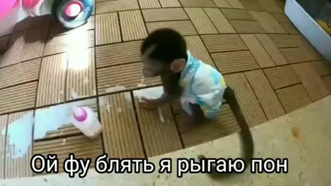 Обезьянка рыгает пон