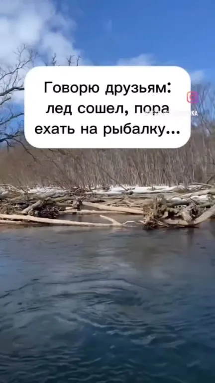 Мои орлы с ящиком 0,5