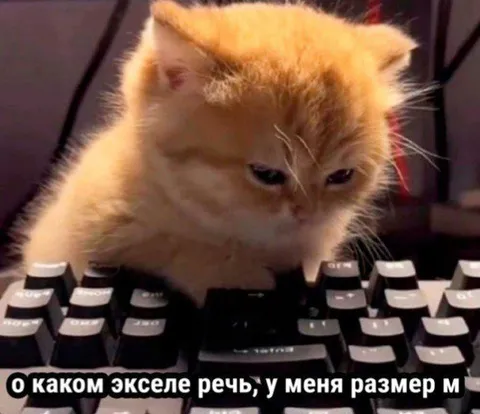 Кот не понимает про Excel