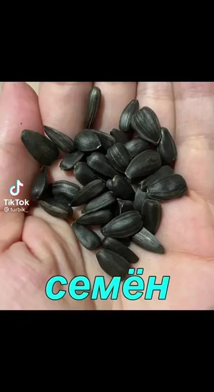 Как зовут всех участников