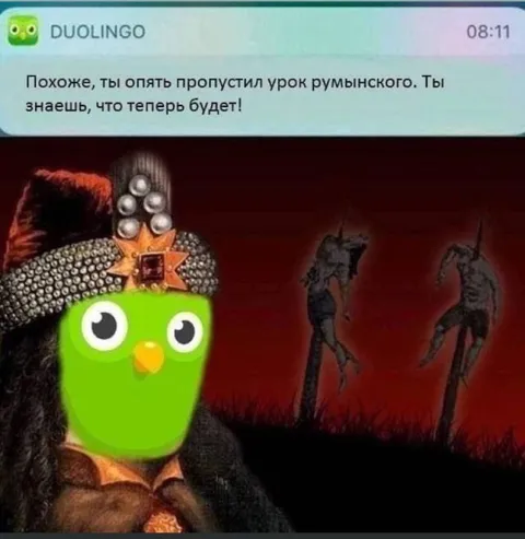 Duolingo пришёл за уроком