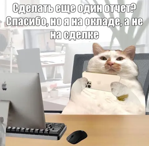Кот на окладе