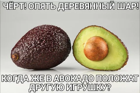 Авокадо и деревянный шар