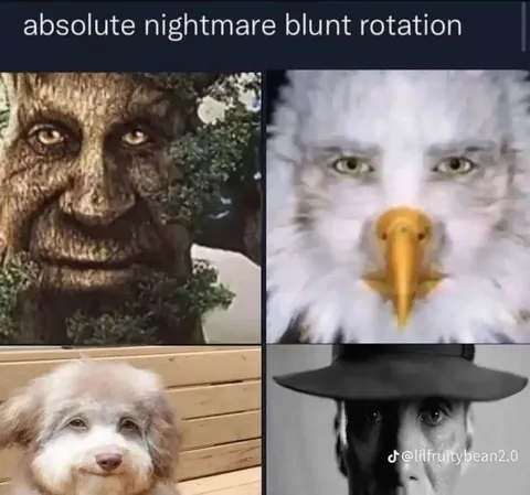 Absolute Nightmare Blunt Rotation