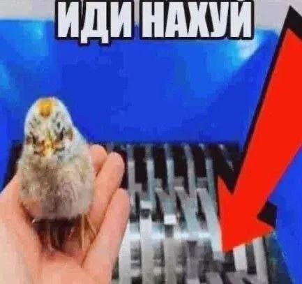 Птица посылает нахуй