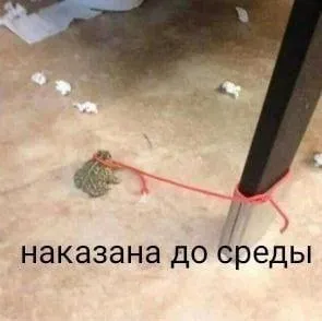 Наказана до среды