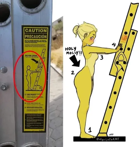 Holy Molly Ladder Diagram