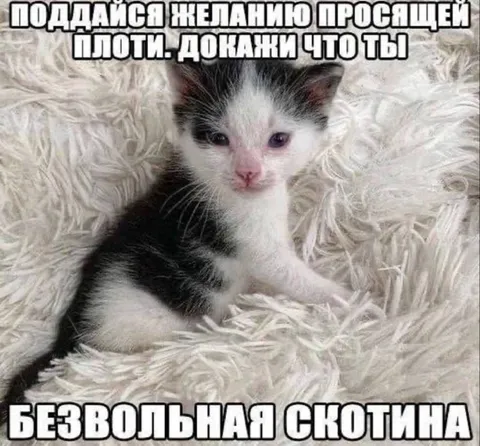Безвольная скотина