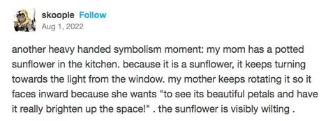 Wilting Sunflower Symbolism