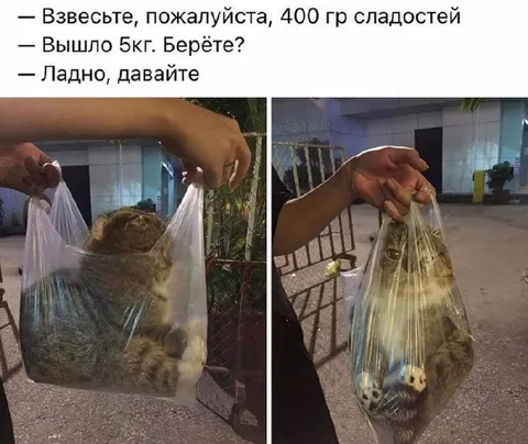 Четыреста грамм сладостей