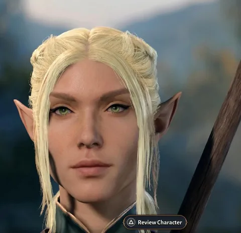 Review Character Elf Face