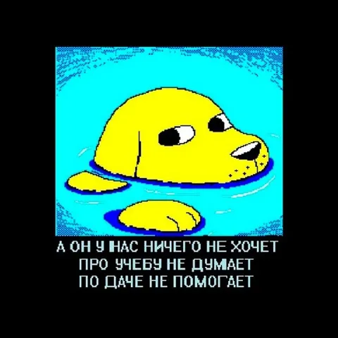 А он у нас ничего не хочет