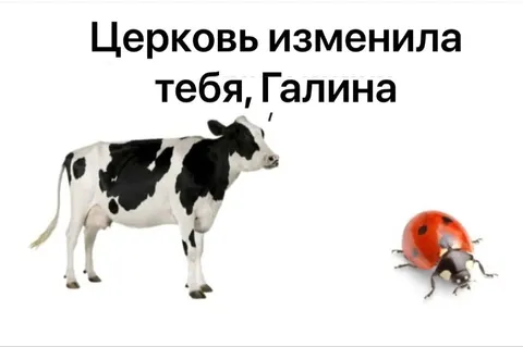 Церковь изменила Галину