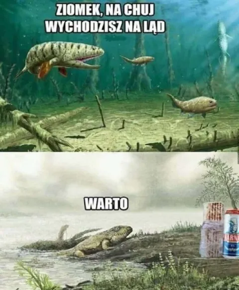 Na chuj wychodzisz na ląd
