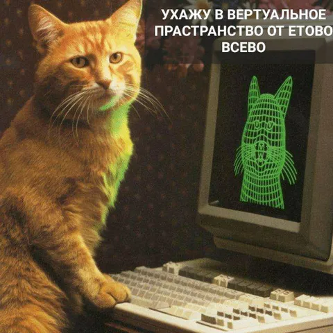 Кот уходит в виртуальное пространство