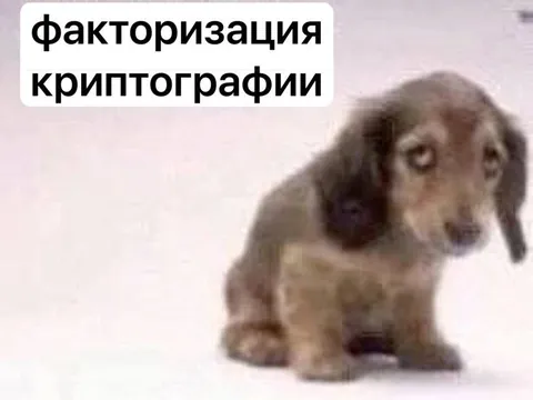 Факторизация криптографии