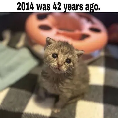 2014 Was 42 Years Ago