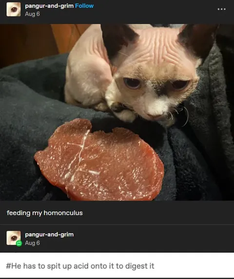 Feeding My Homunculus