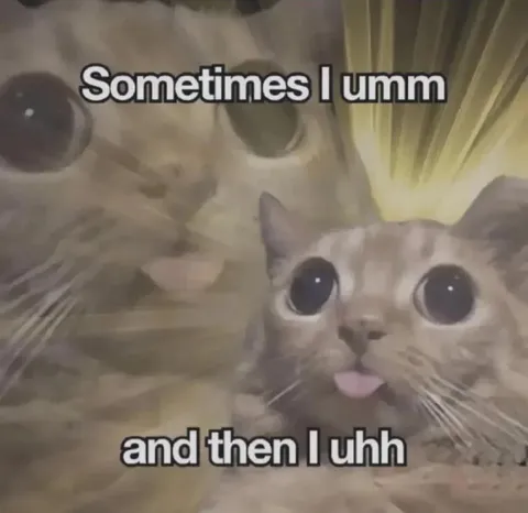 Sometimes I Umm And Then I Uhh