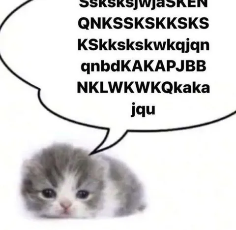 Кот бессвязно кричит