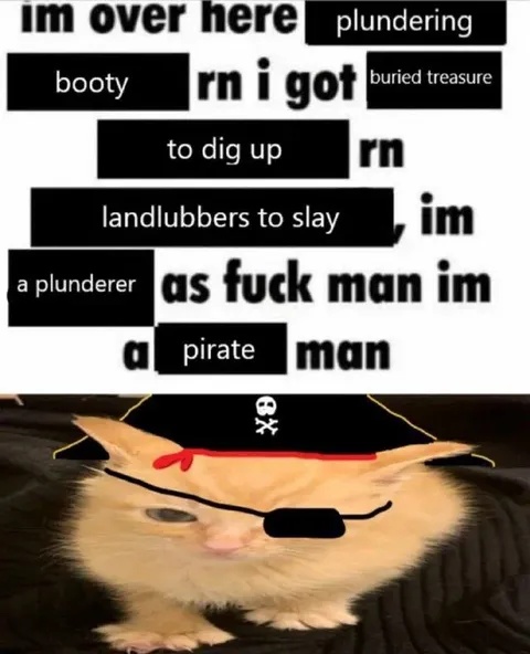 Pirate Cat Plundering