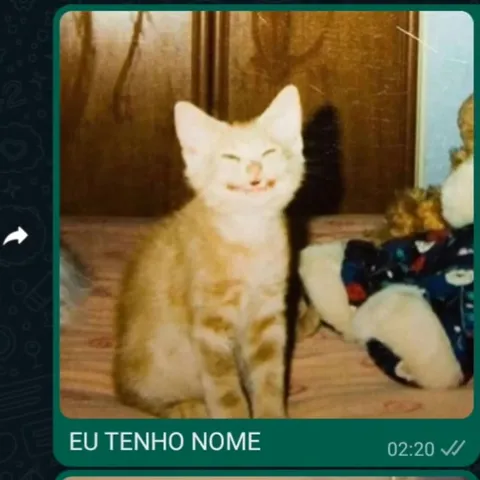Eu tenho nome, sou cidadã